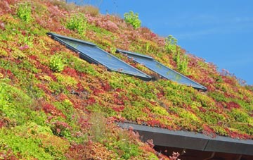 Sleagill living roof systems